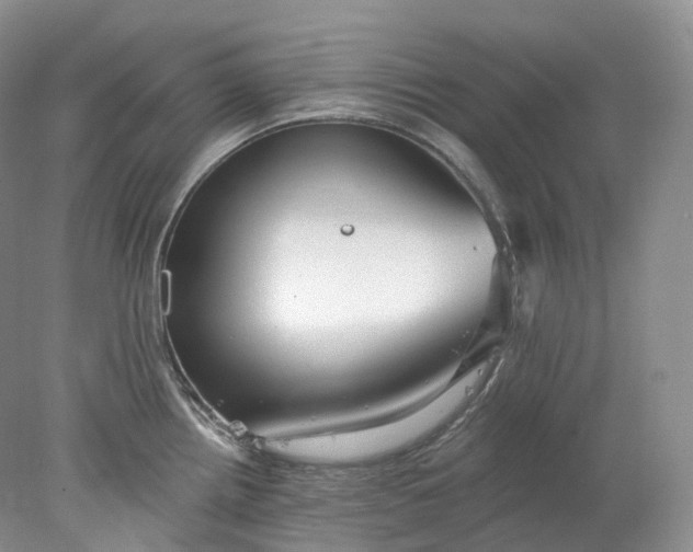 X0000078311242200611172206