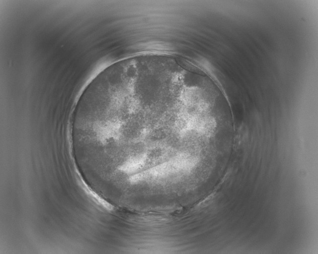 X0000078311243200611172206