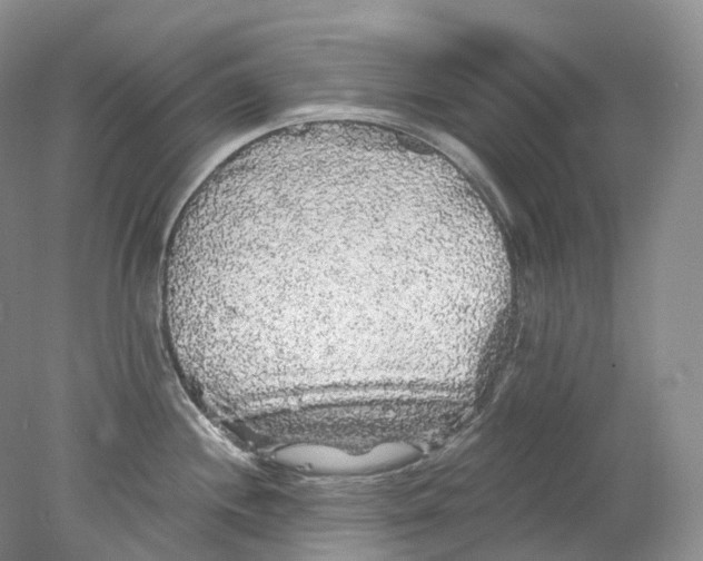 X0000078311244200611172206