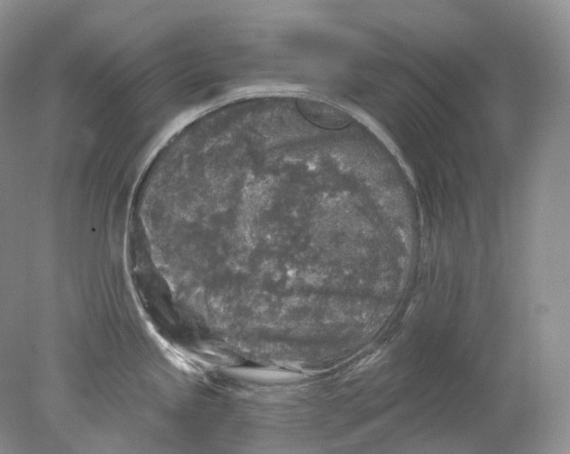 X0000078311245200611172206