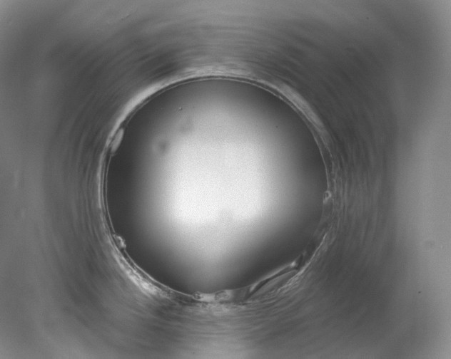 X0000078311246200611172206