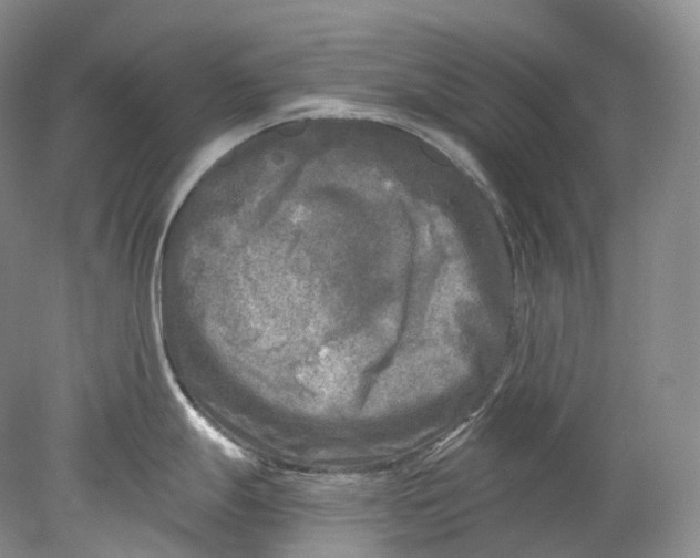 X0000078311247200611172206