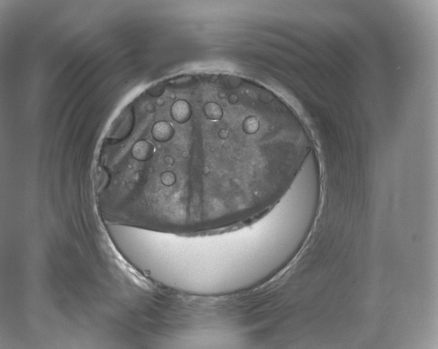 X0000078311248200611172206