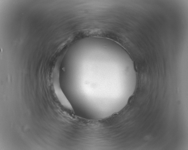 X0000078311250200611172206