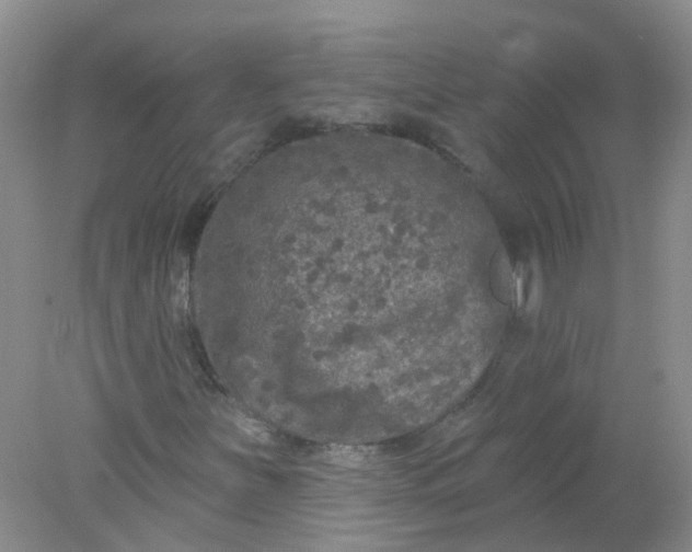 X0000078311251200611172206