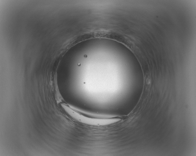 X0000078311252200611172206