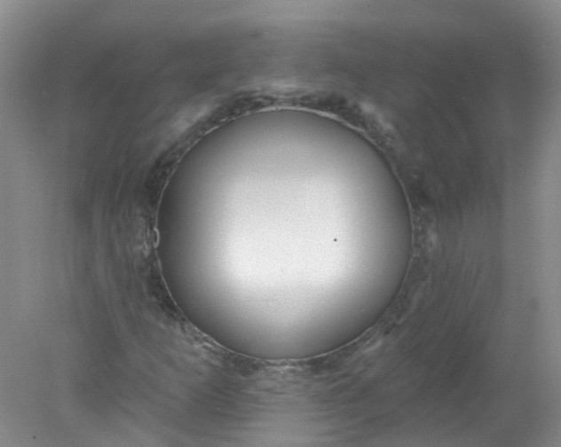 X0000078311253200611172206