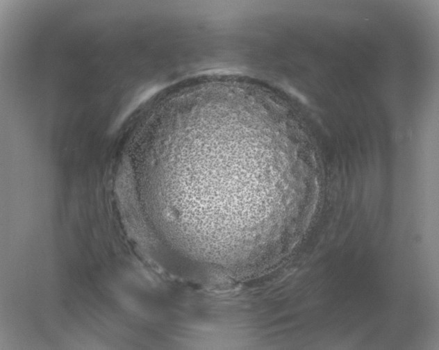 X0000078311255200611172206