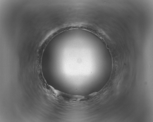 X0000078311256200611172206