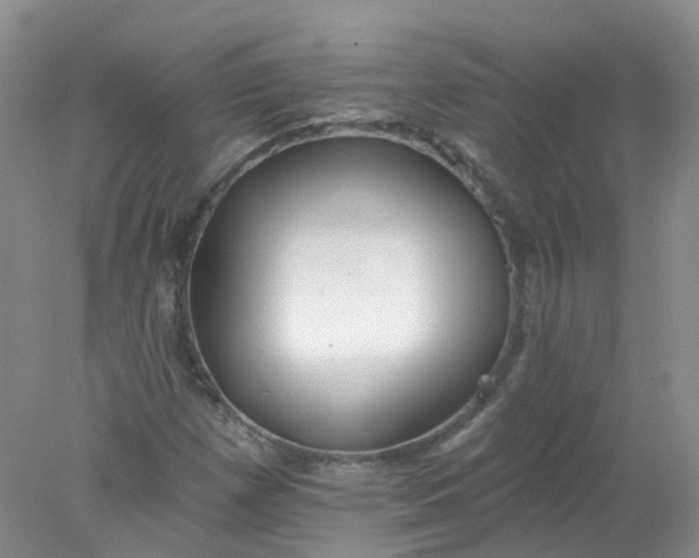 X0000078311257200611172206