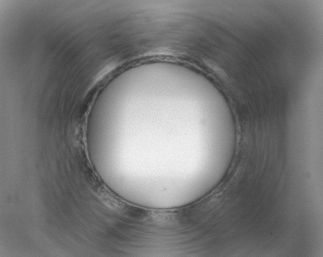 X0000078311258200611172206