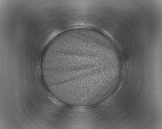 X0000078311259200611172205