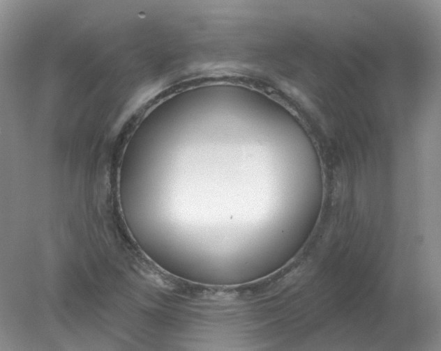 X0000078311261200611172205