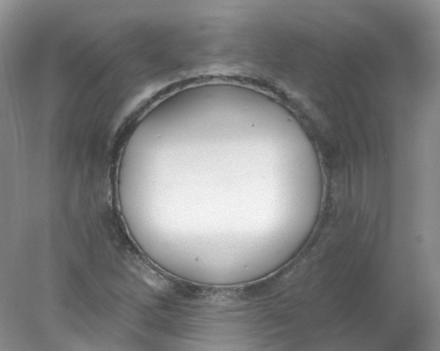 X0000078311262200611172205