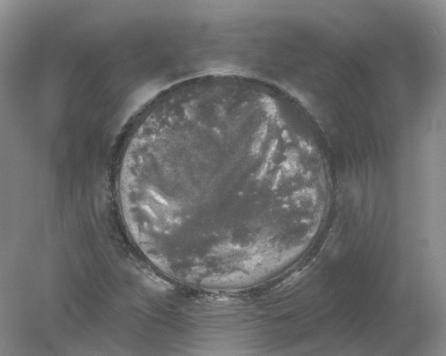 X0000078311263200611172205