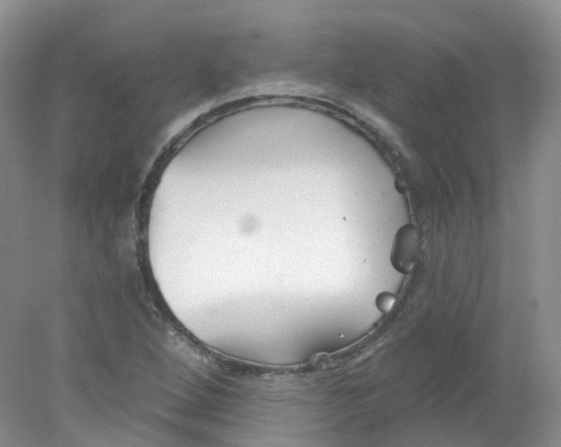 X0000078311264200611172205