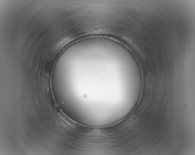 X0000078311265200611172205