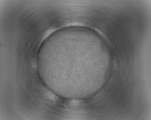 X0000078311266200611172205