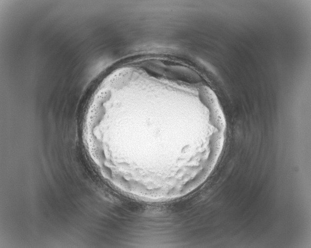 X0000078311267200611172205