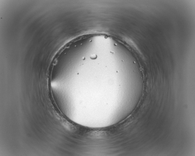 X0000078311268200611172205