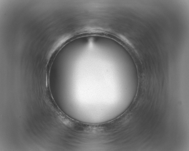 X0000078311269200611172205