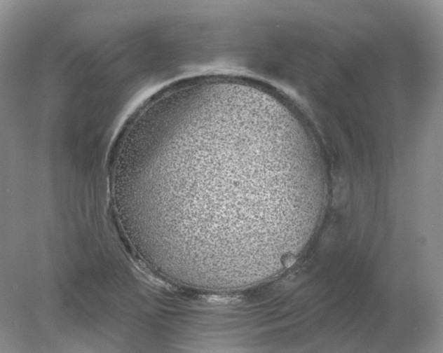 X0000078311271200611172205