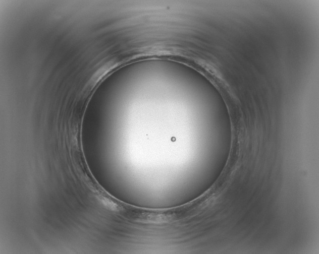 X0000078311273200611172205