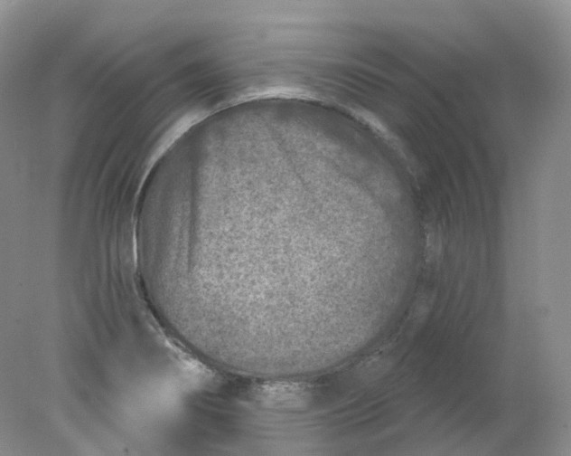 X0000078311274200611172205