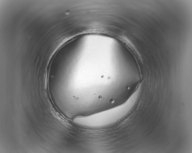 X0000078311276200611172205