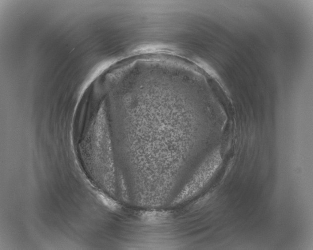 X0000078311277200611172205