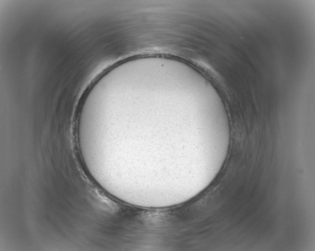 X0000078311278200611172205