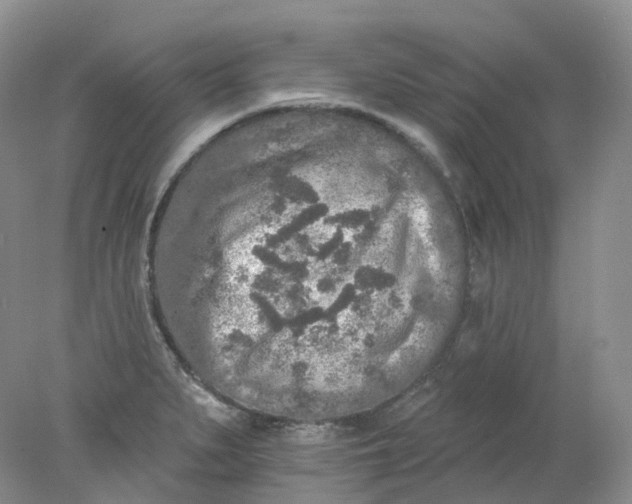 X0000078311279200611172205