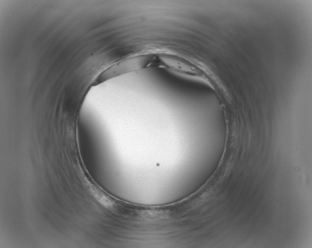 X0000078311281200611172205