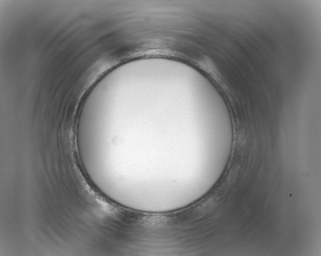 X0000078311282200611172205