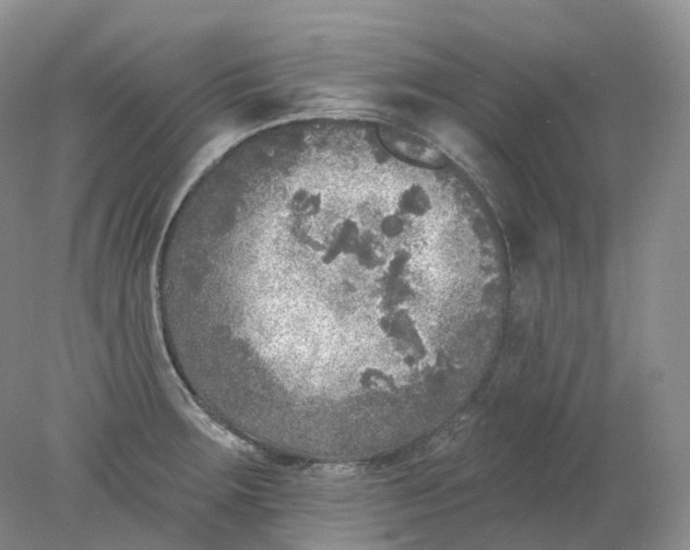 X0000078311283200611172205