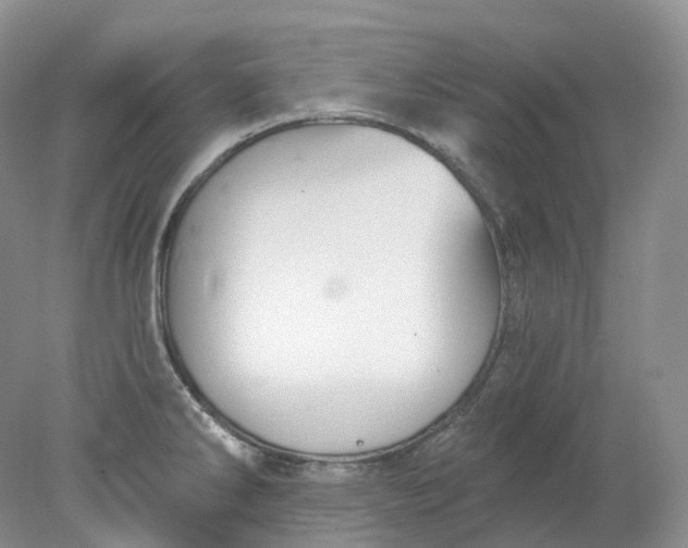 X0000078311286200611172205