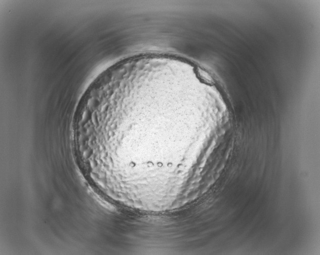 X0000078311287200611172205