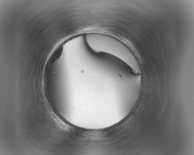 X0000078311288200611172205