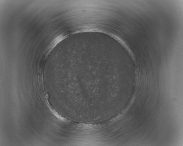 X0000078311289200611172205