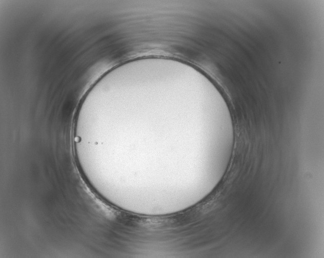 X0000078311290200611172205