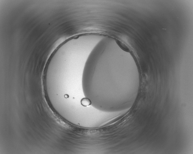 X0000078311291200611172205