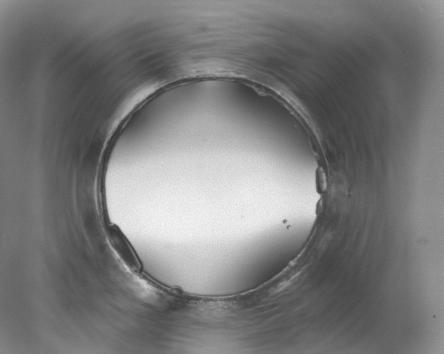 X0000078311293200611172205