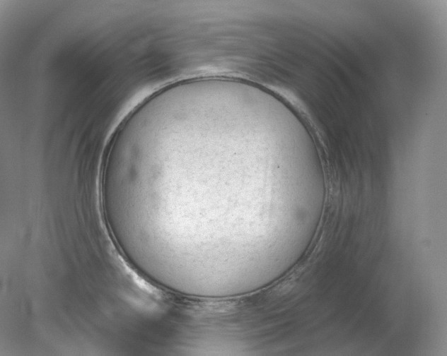 X0000078311294200611172205