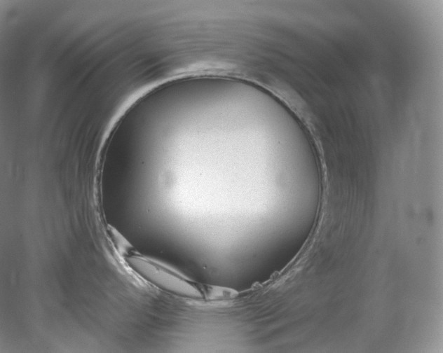 X0000078311296200611172205