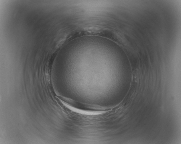 X0000078311298200611172204