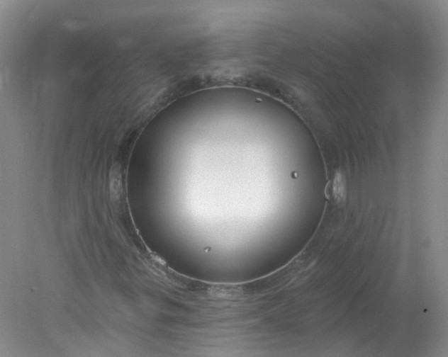 X0000078311299200611172204