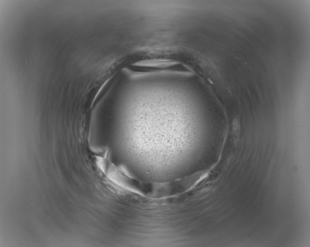 X0000078311300200611172204