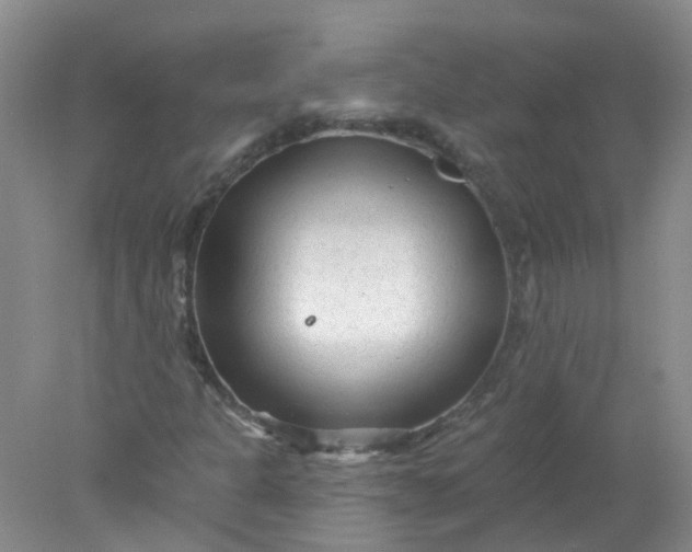 X0000078311301200611172204