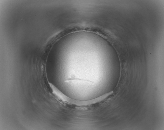 X0000078311302200611172204