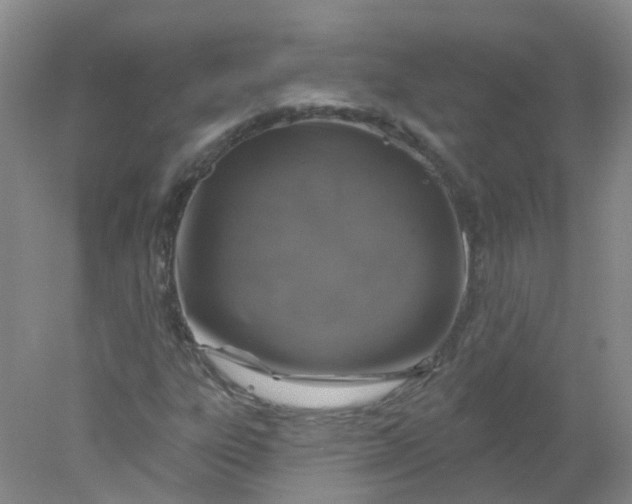 X0000078311303200611172204